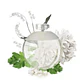 NOA TESTER 100 ML EDT CACHAREL  - Miniatura 4