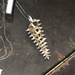 Collar spiral - Miniatura 1