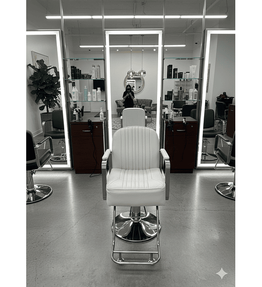 SILLA DE PELUQUERIA SILVER