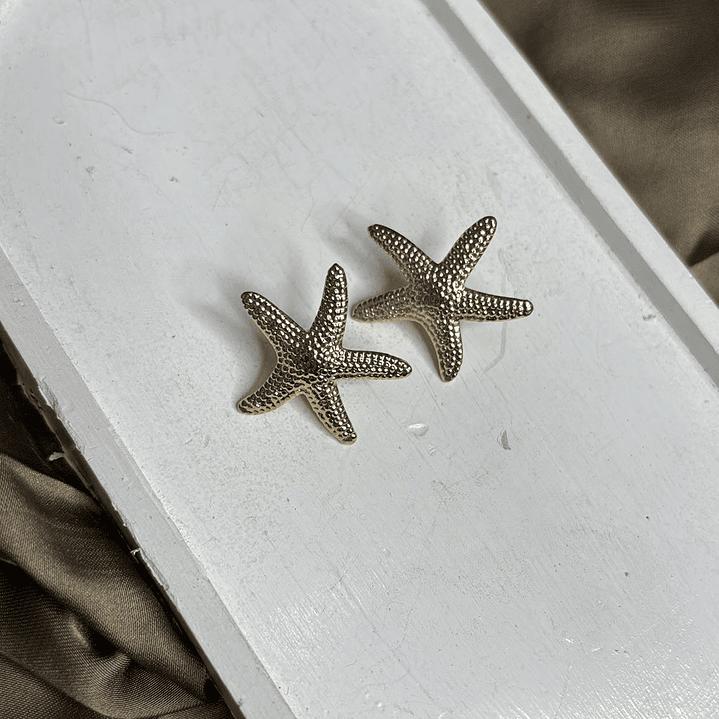 AROS ESTRELLA DE MAR 1