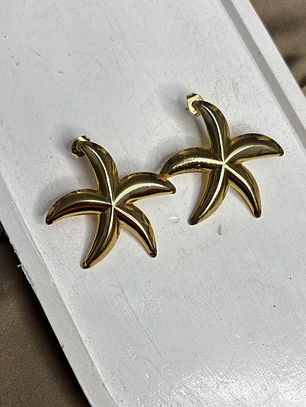 AROS ESTRELLA DE MAR