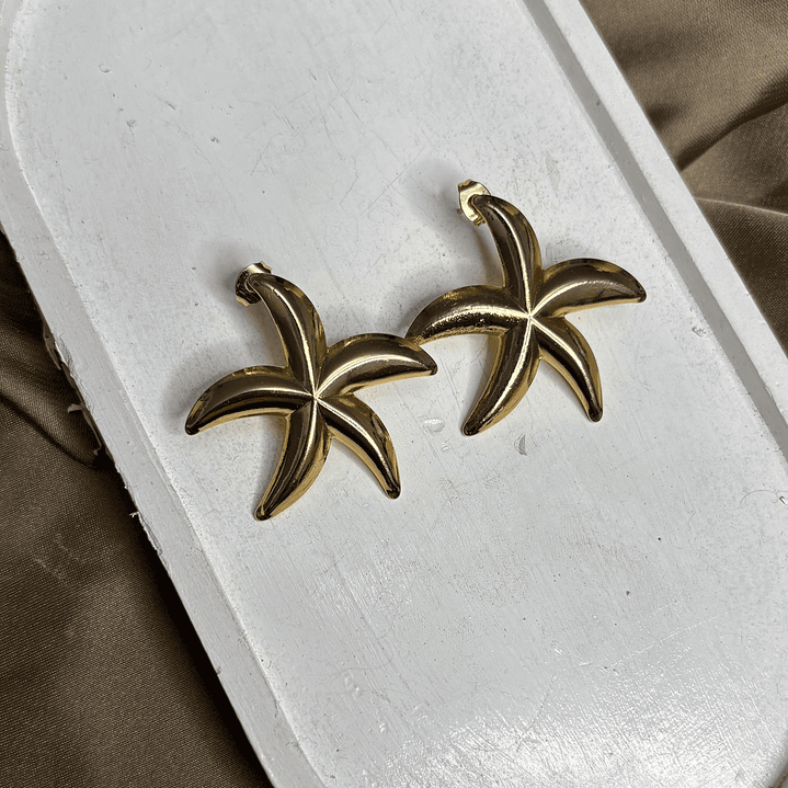 AROS ESTRELLA DE MAR 1