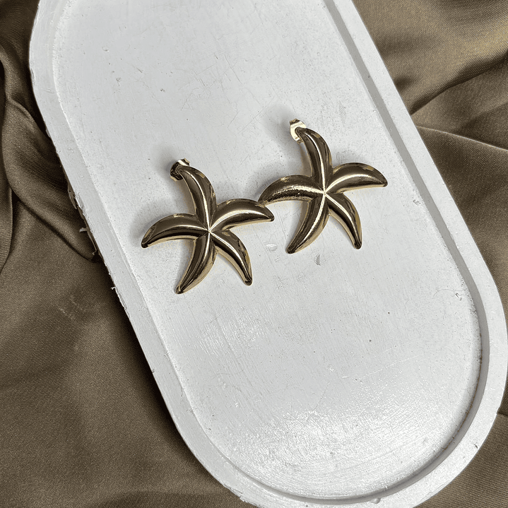 AROS ESTRELLA DE MAR 2