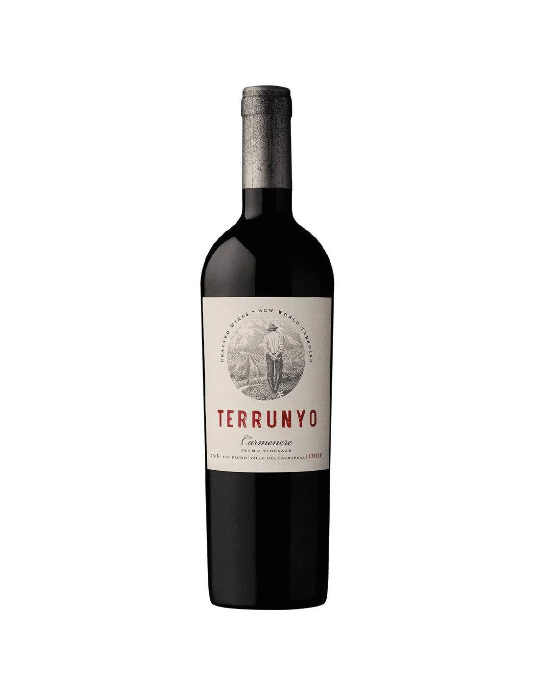 Vino Terrunyo Carmenere - 2023 1