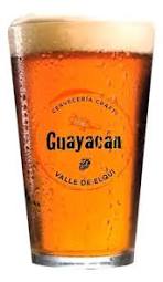Vaso Guayacan  1