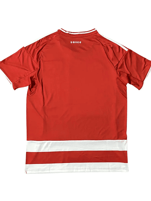 União de Berlim 25/26 Home Kit