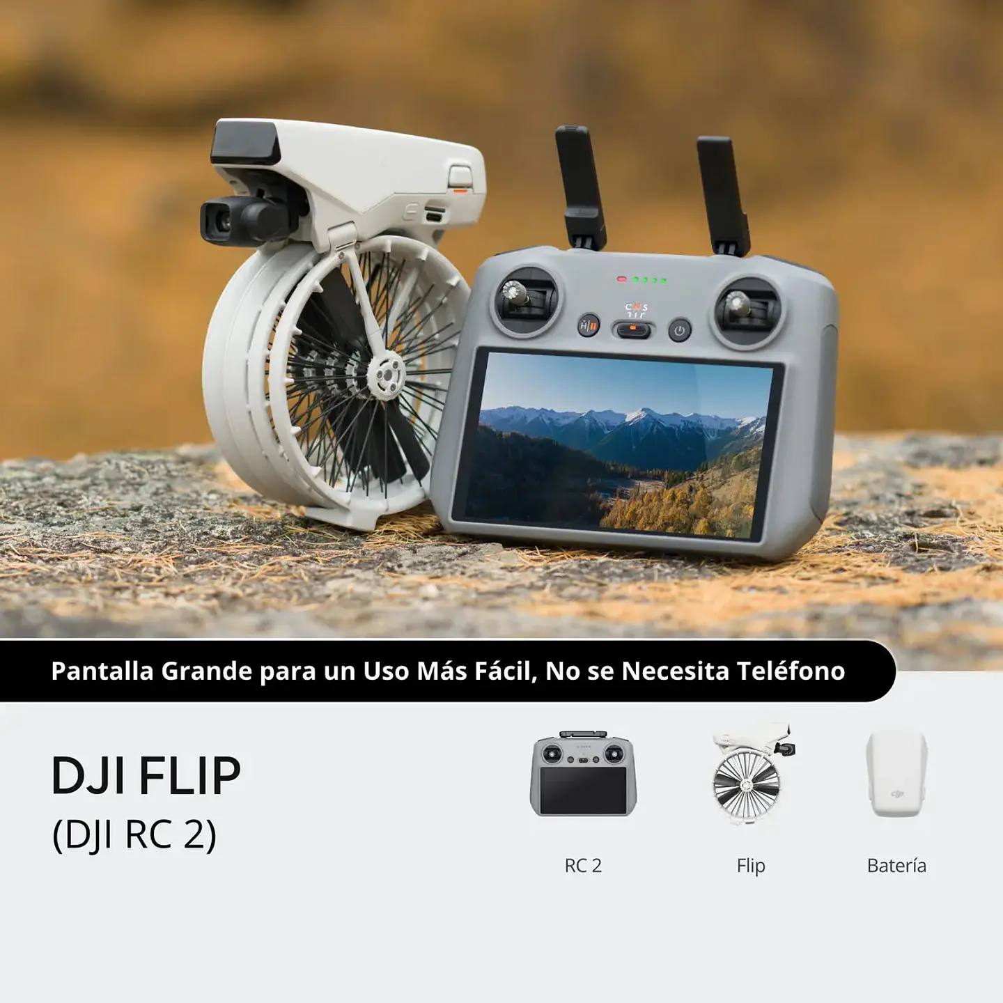 DJI Flip (DJI RC 2) (GL) 1