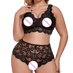 Plus Size Lace Bra Set Hot Erotic Sexy Lingerie Set Lace Embroidery Underwear Sets woman 2 pieces Bra & Brief Sets 4XL