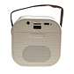 Mini Parlante Karaoke TWS 730W Luz RGB + Micrófono Philco - Miniatura 4