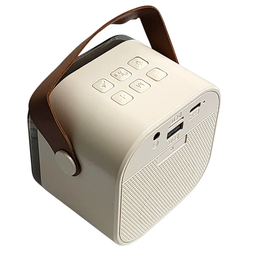 Mini Parlante Karaoke TWS 730W Luz RGB + Micrófono Philco 5