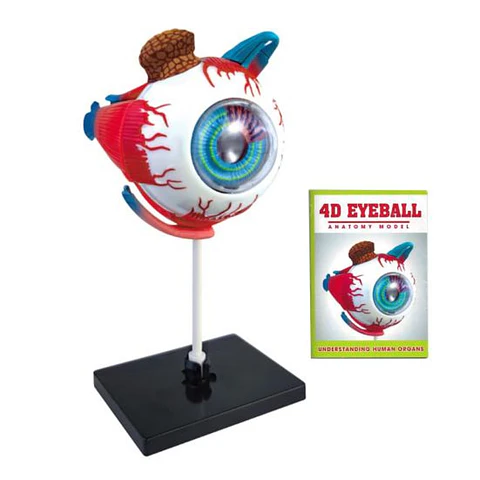 Ojo 4d Rompecabeza Puzzle Armar Didáctico Educativo 55514