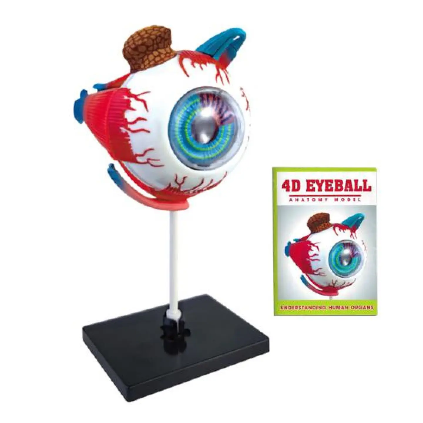 Ojo 4d Rompecabeza Puzzle Armar Didáctico Educativo 55514 1