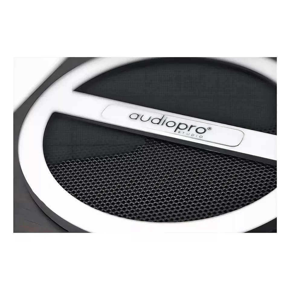 Par De Parlante Portatil Sd/usb/ Fm Y Bt Audiopro AP01016 3