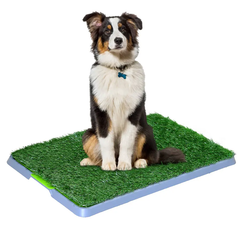 Baño Ecológico Para Mascotas Perros Potty 43x68 cm 1