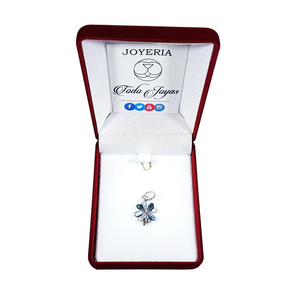 Charm Dije Plata 925 Trebol Plateado Circon 2