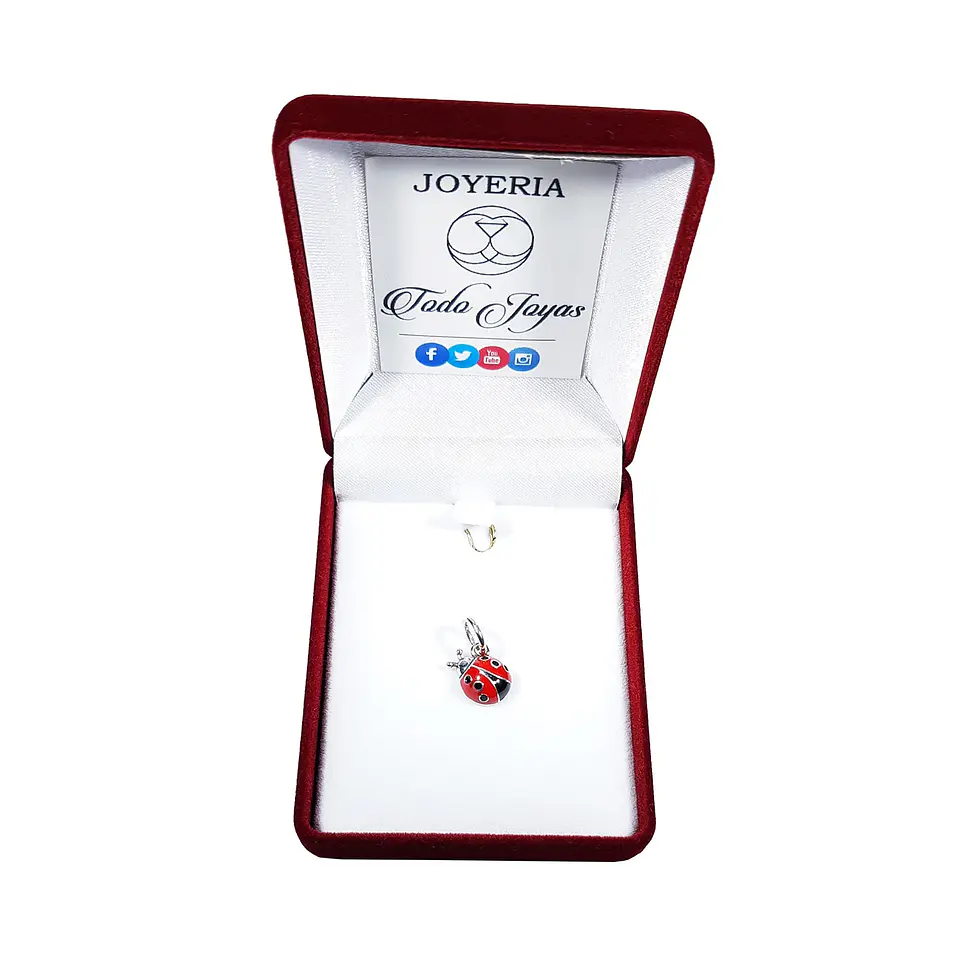 Charm Dije Plata 925 Mariquita Roja 2