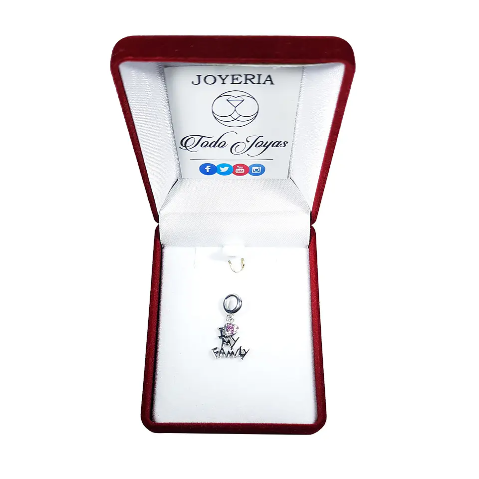 Charm Dije Plata 925 Amo a Mi Familia 2