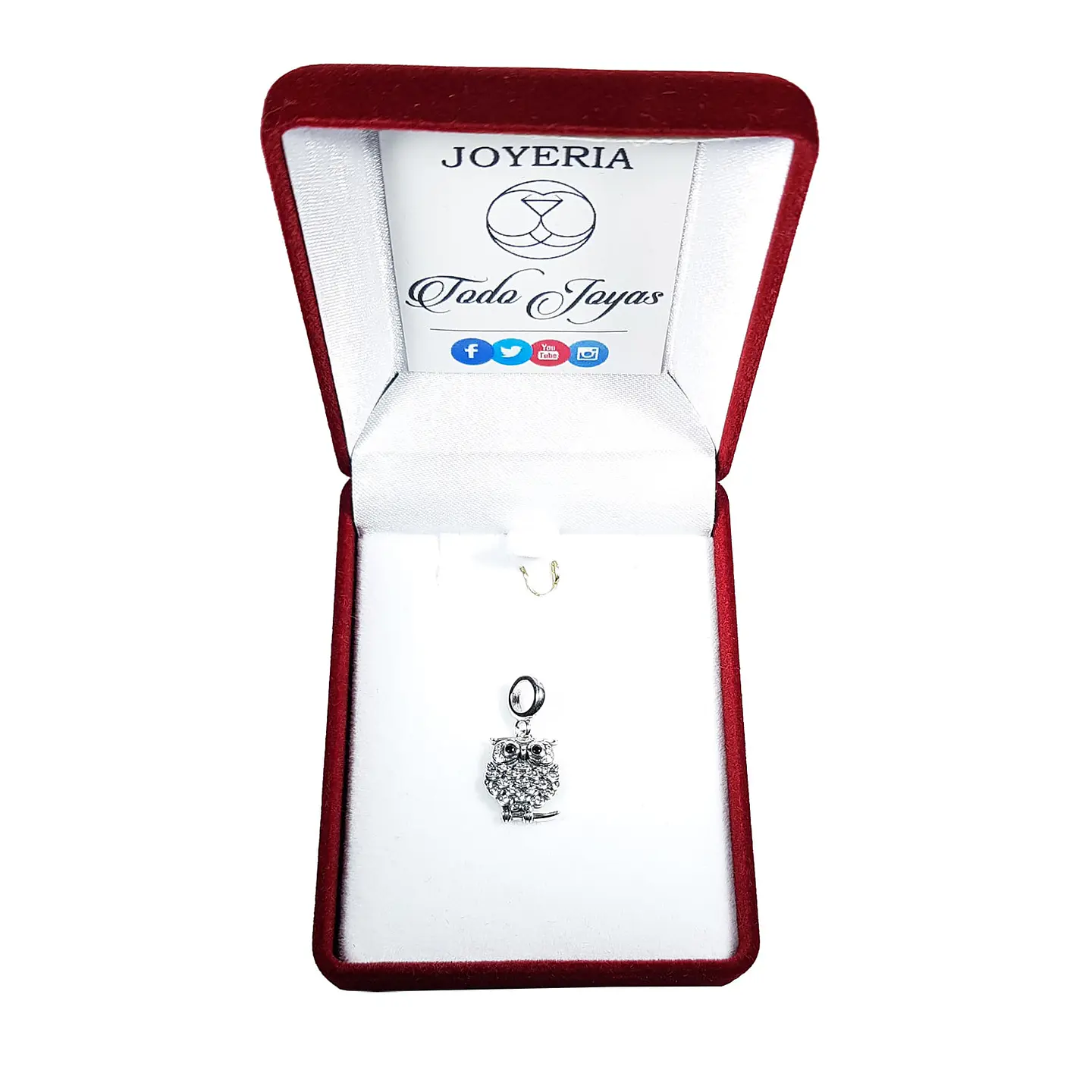 Charm Dije Plata 925 Buho Circones 2