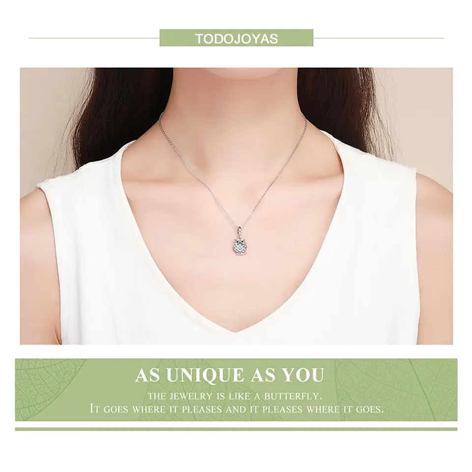 Charm Dije Plata 925 Buho Circones 4