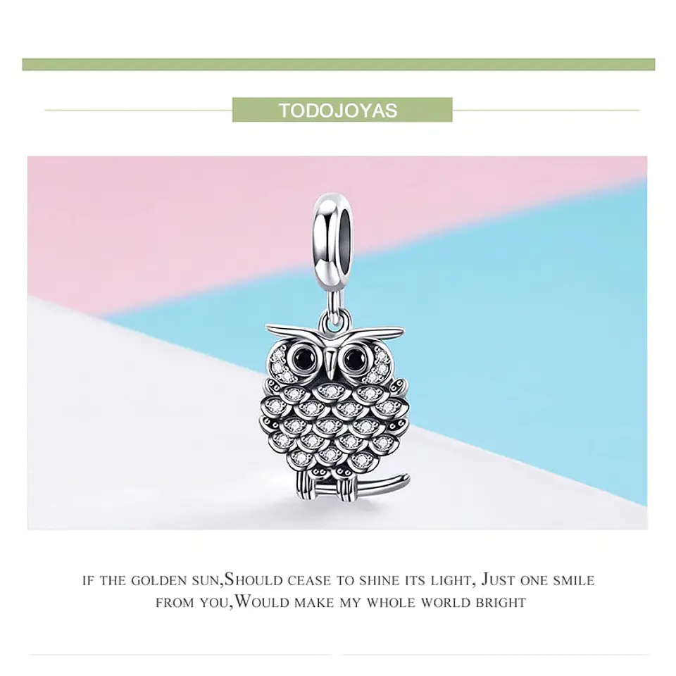 Charm Dije Plata 925 Buho Circones 6