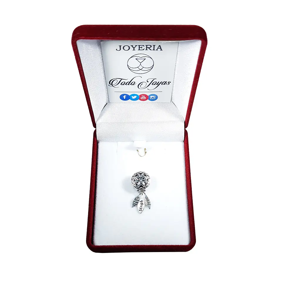 Charm Dije Plata 925 Atrapa Sueños Live 2