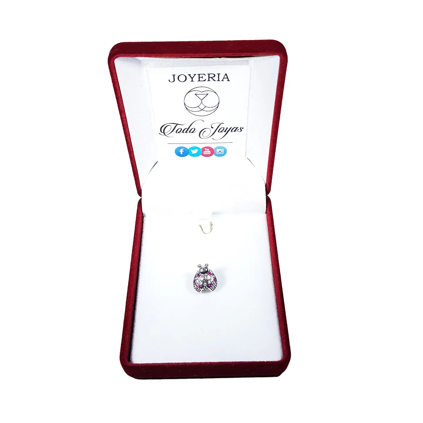 Charm Plata 925 Mariquita Rosada 2