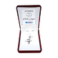 Charm Dije Plata 925 Colibri con Rama - Miniatura 2