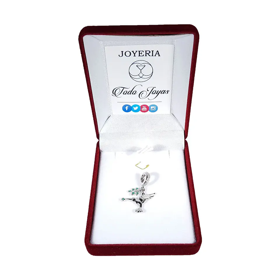 Charm Dije Plata 925 Colibri con Rama 2