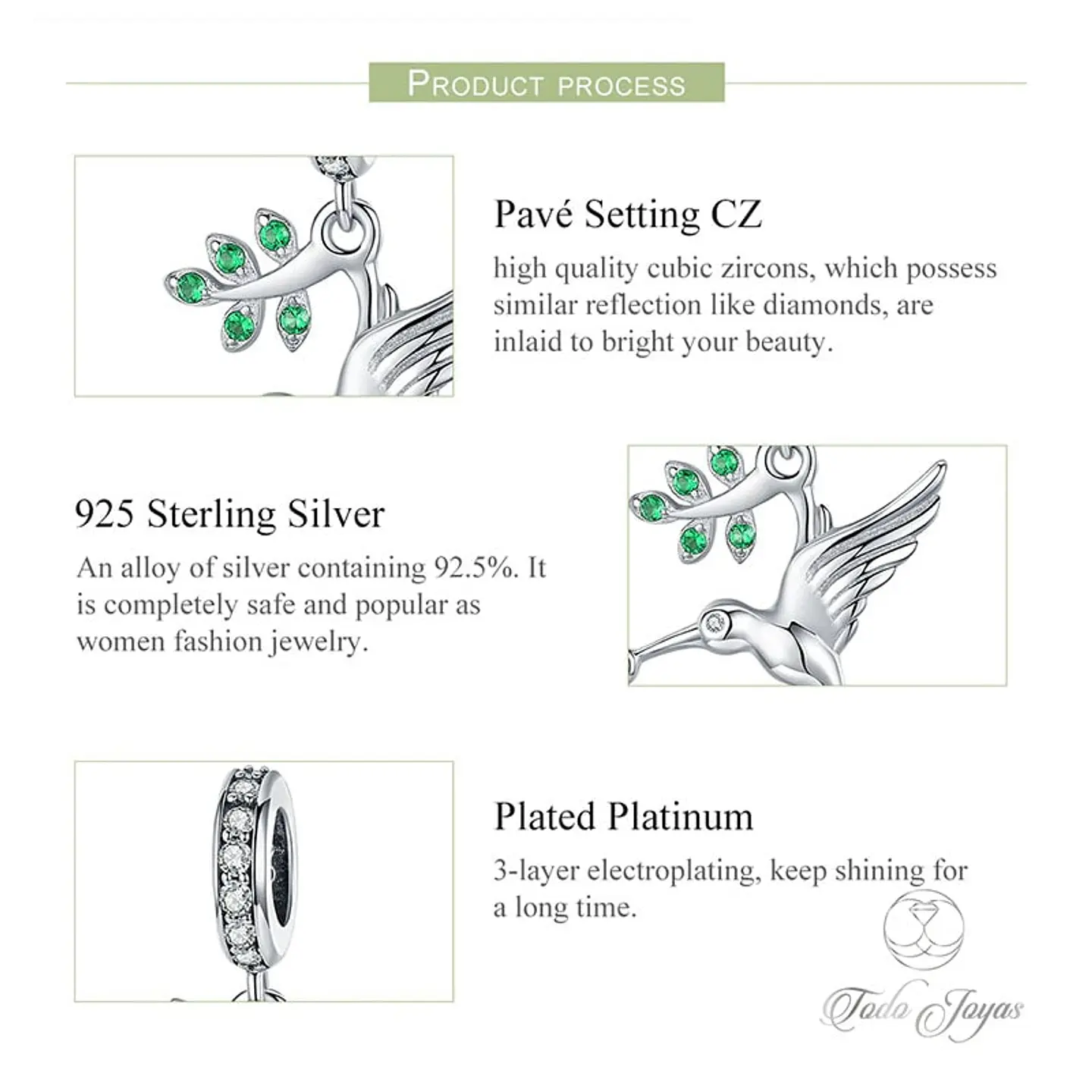 Charm Dije Plata 925 Colibri con Rama 5