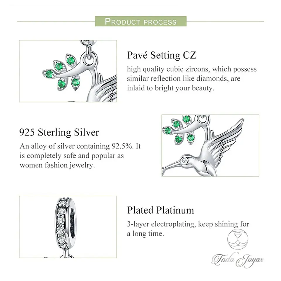 Charm Dije Plata 925 Colibri con Rama 5