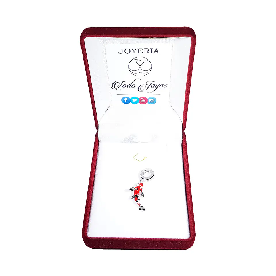 Charm Dije Plata 925 Pez de La Suerte 2