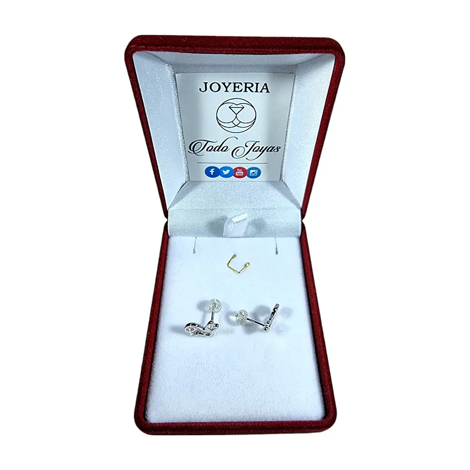 Aros Plata 925 Conejo 2