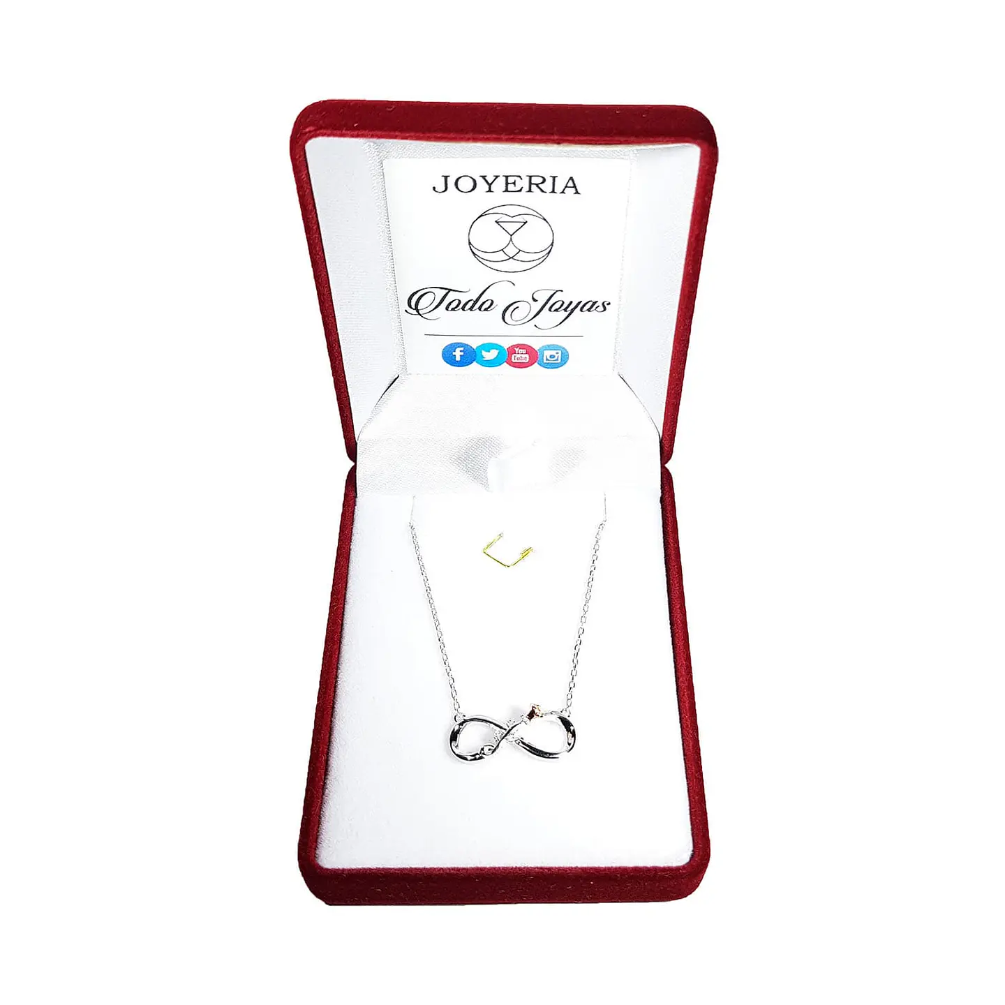 Collar Plata 925 Infinito con Rosa 2