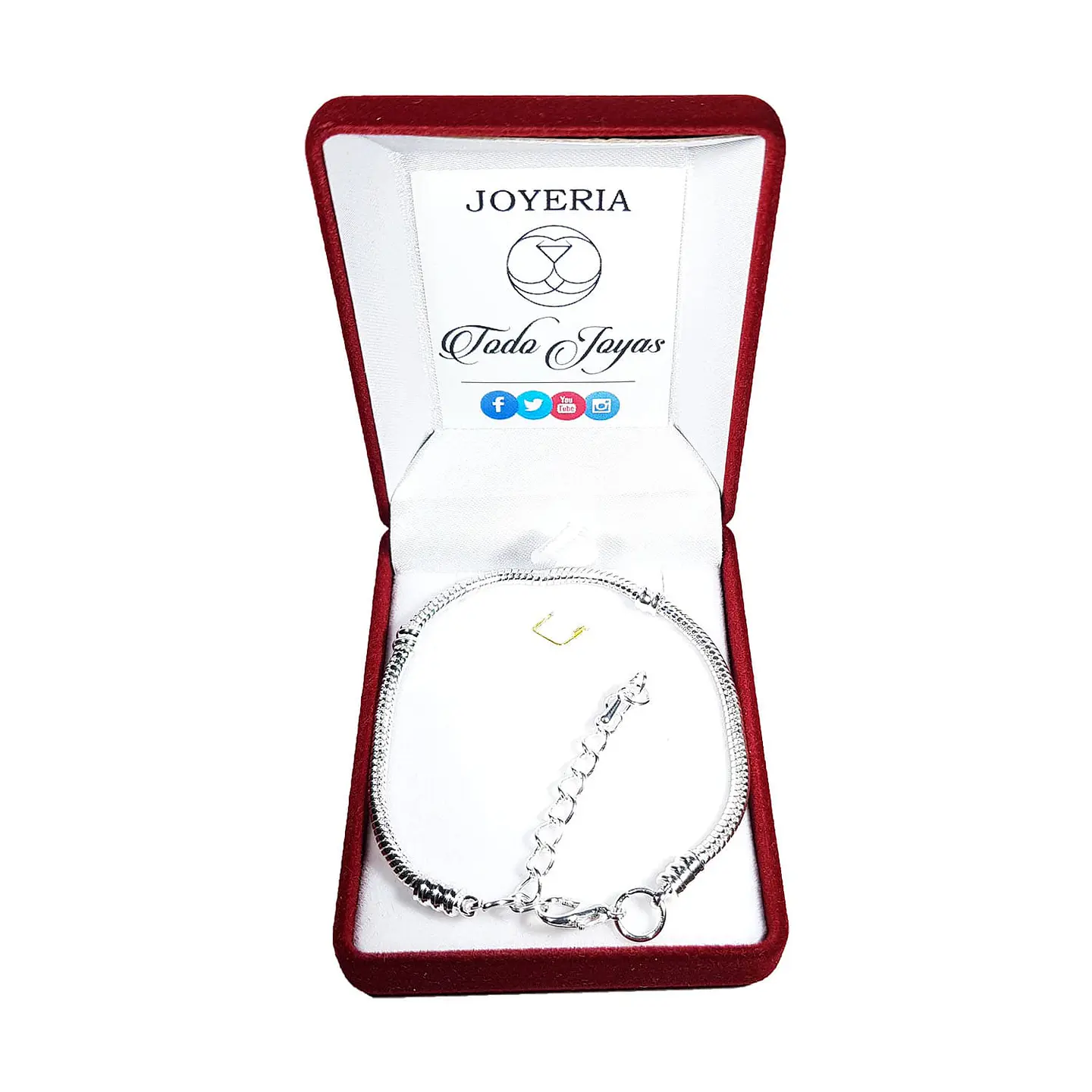 Pulsera Para Charms Ajustable Plateada 2