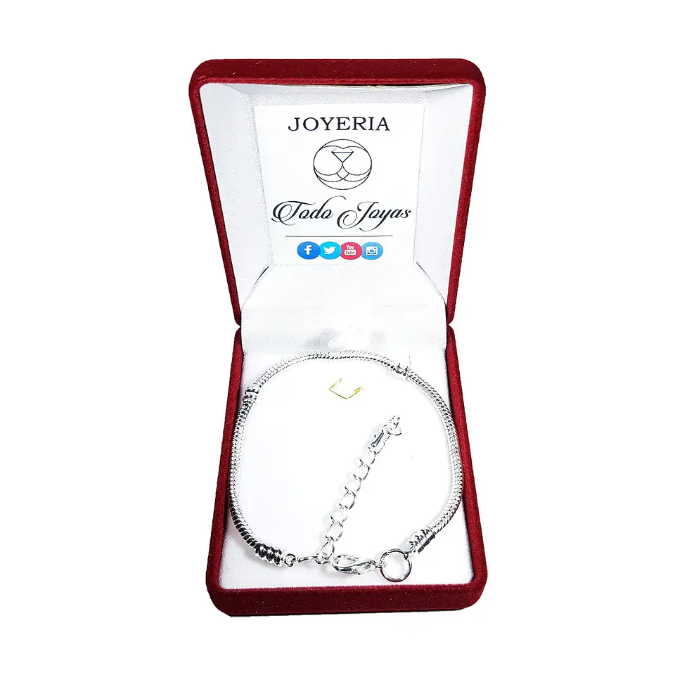 Pulsera Para Charms Ajustable Plateada 2