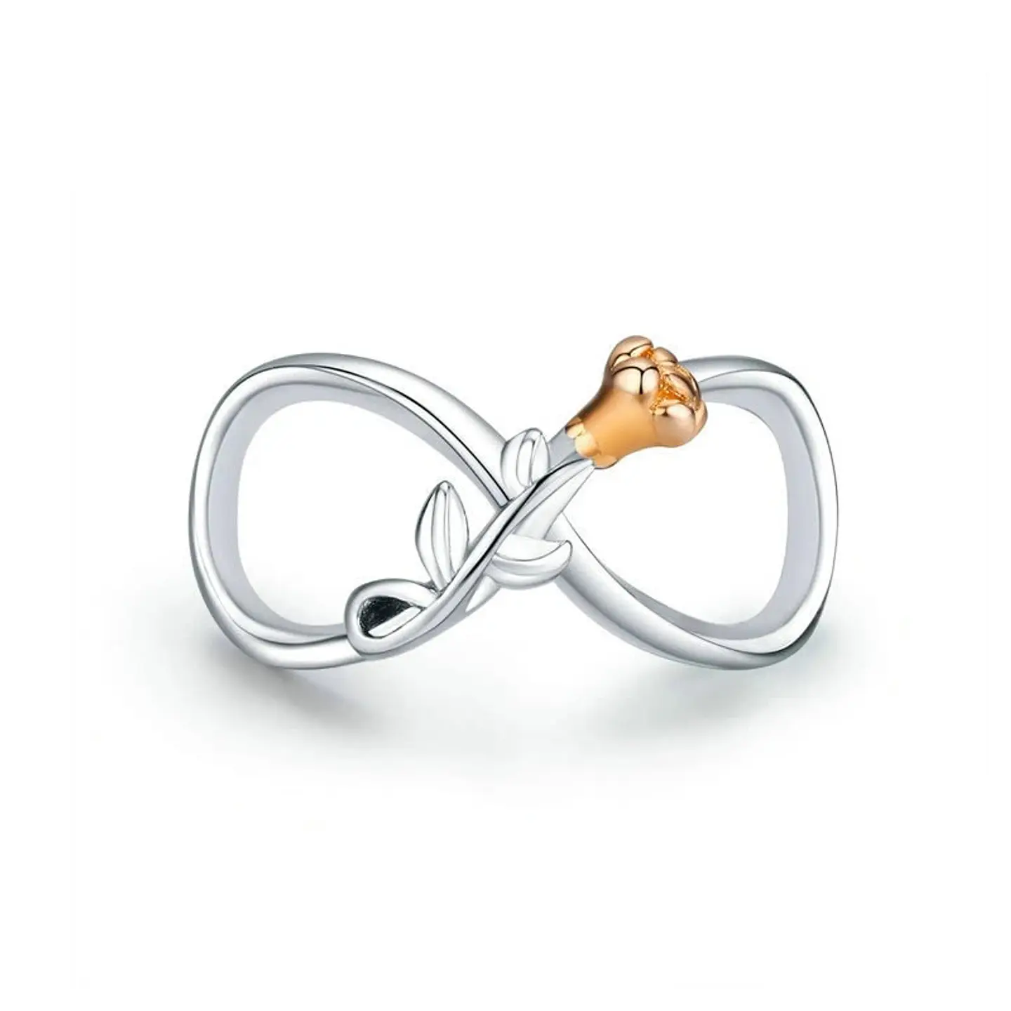 Charm Dije Plata 925 Infinito con Rosa 1