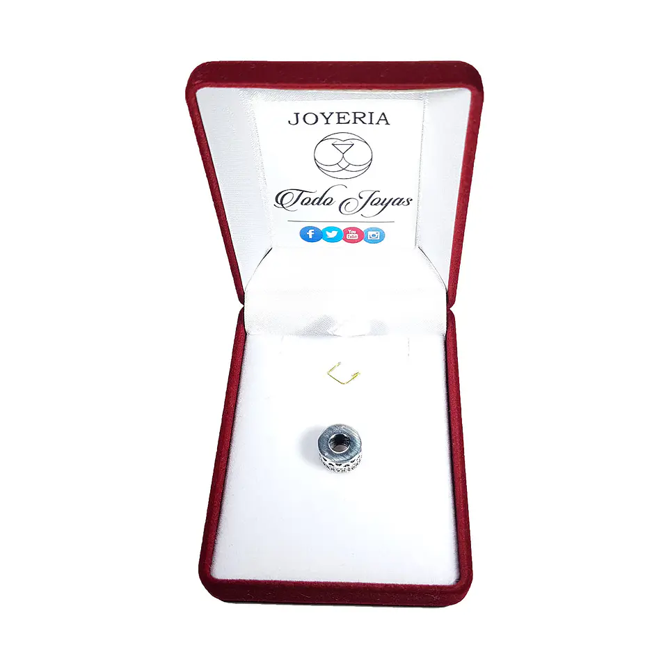 Charm Dije Plata 925 Separador Circular 2