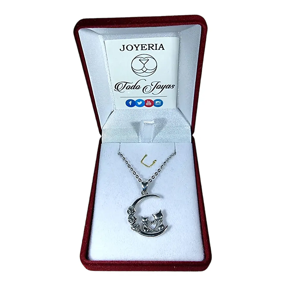 Collar Plata 925 Gatitos en Luna 2