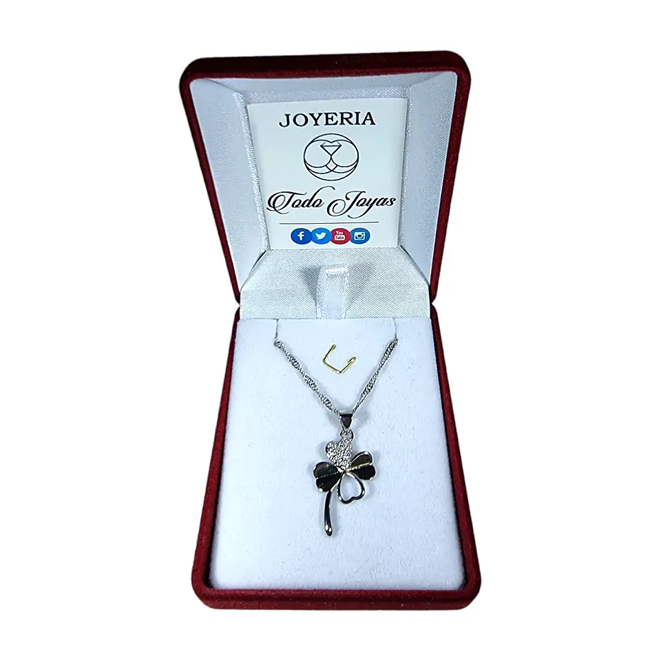 Collar Trebol de La Suerte Circones Plateado 2