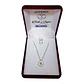 Collar Plata 925 Flor de Camomila - Miniatura 2