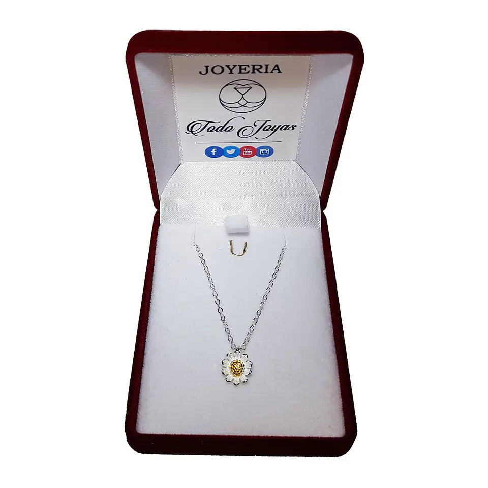 Collar Plata 925 Flor de Camomila 2