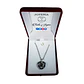 Collar Corazon Te Amo en 100 Idiomas Plateado - Miniatura 2