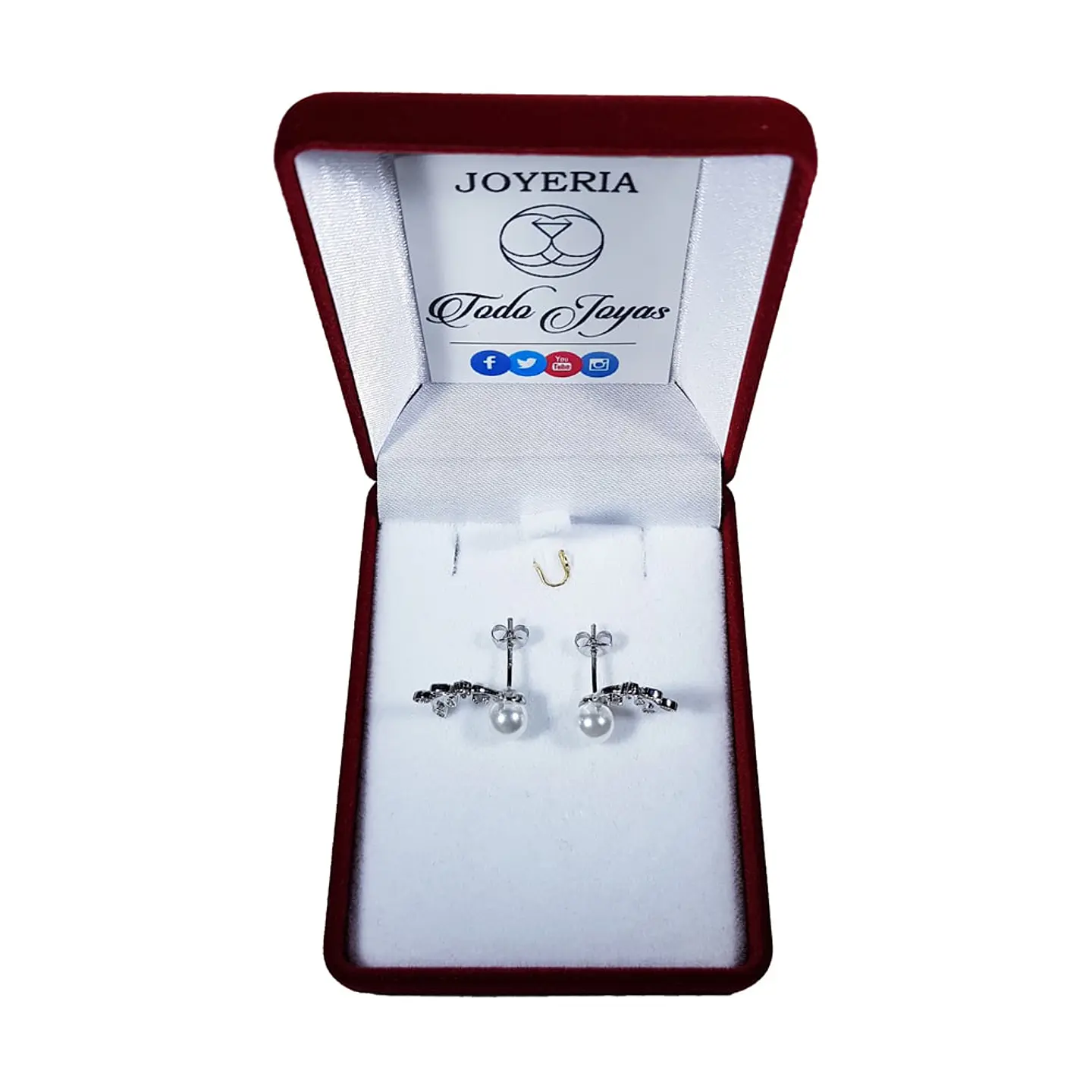 Aros Perla y Hojas Circones Plateado 2