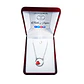 Collar Colgante Corazon Circulo Plateado - Miniatura 2