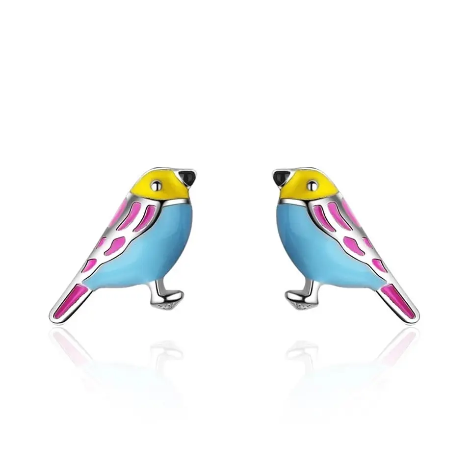 Aros de Pajaro Multicolor Plateado 1