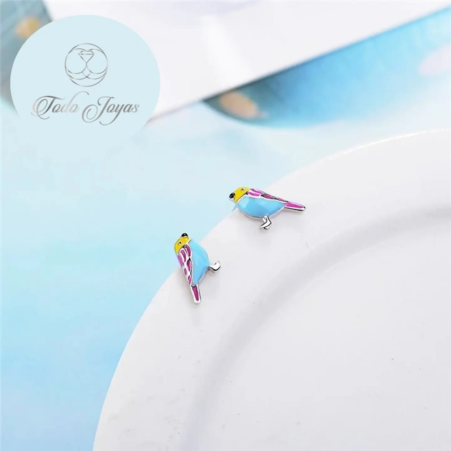 Aros de Pajaro Multicolor Plateado 3