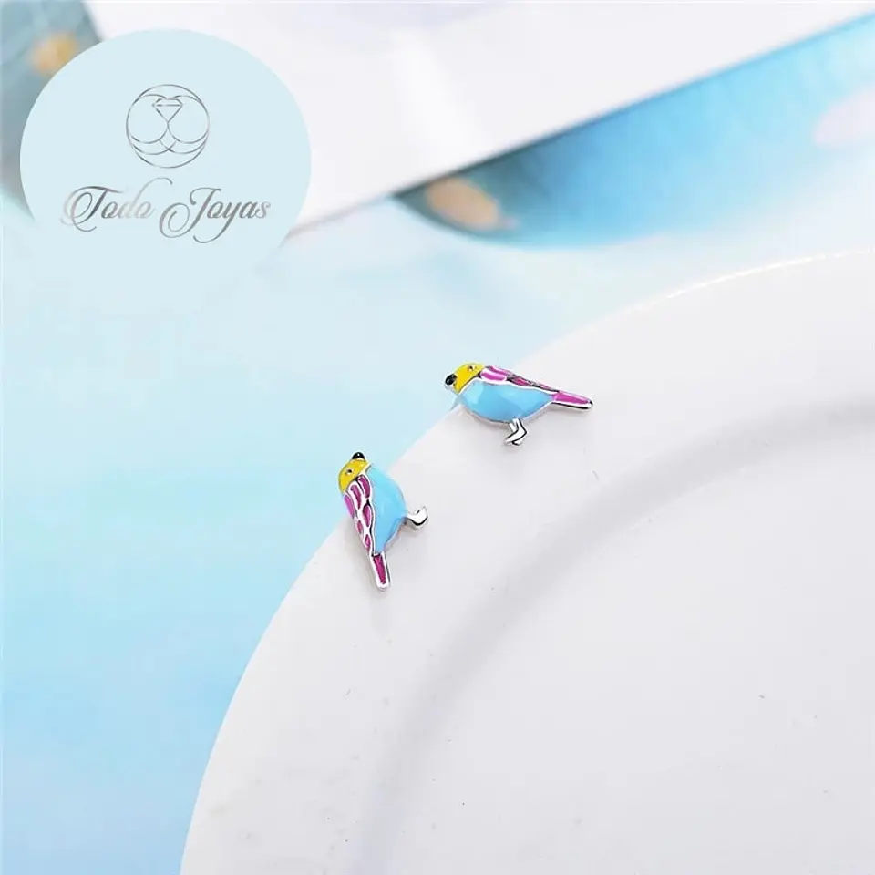 Aros de Pajaro Multicolor Plateado 3