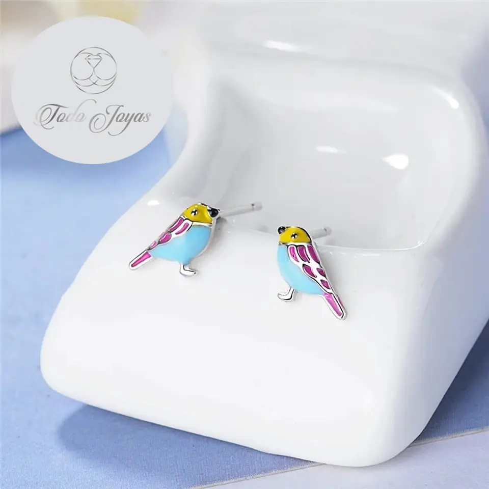 Aros de Pajaro Multicolor Plateado 4