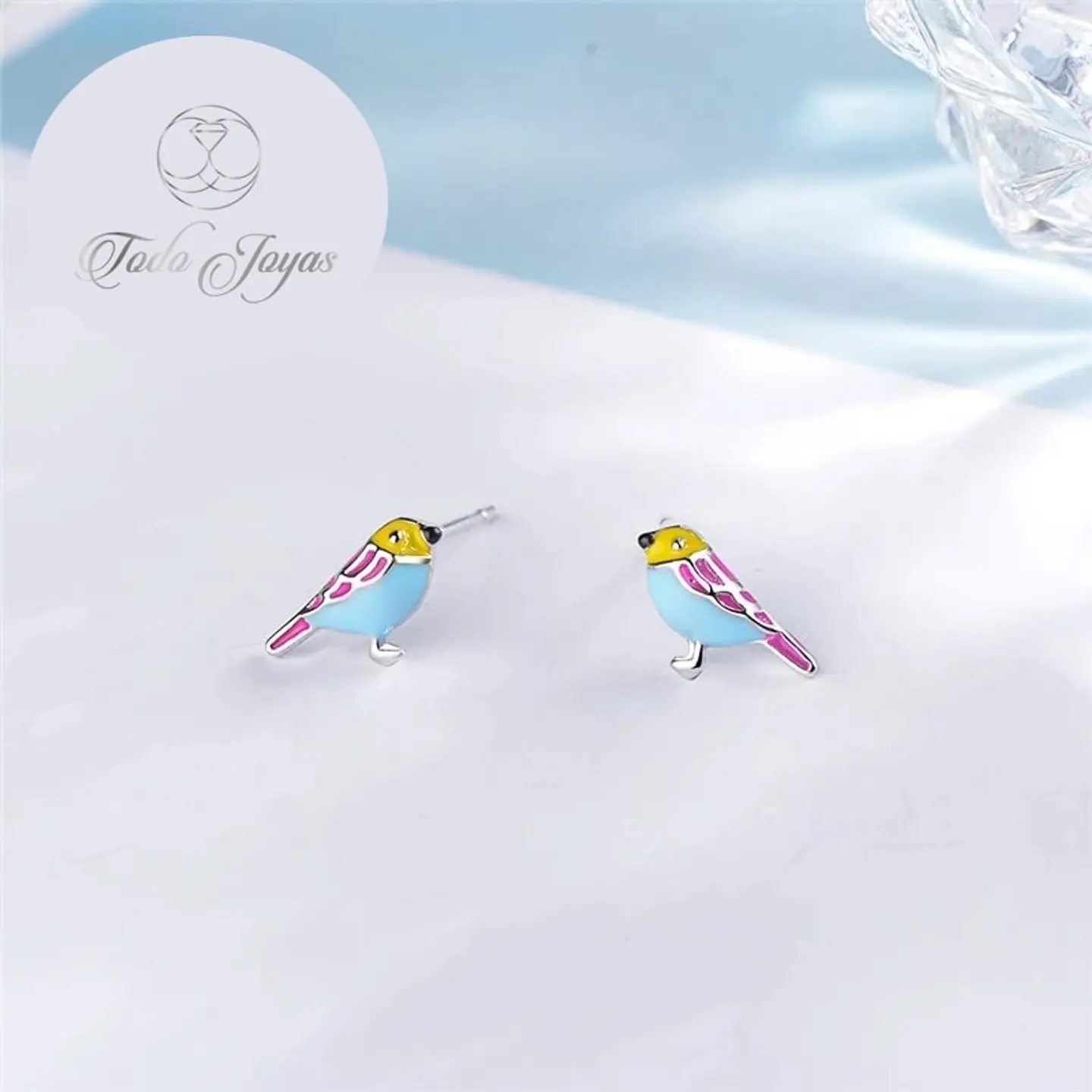 Aros de Pajaro Multicolor Plateado 5