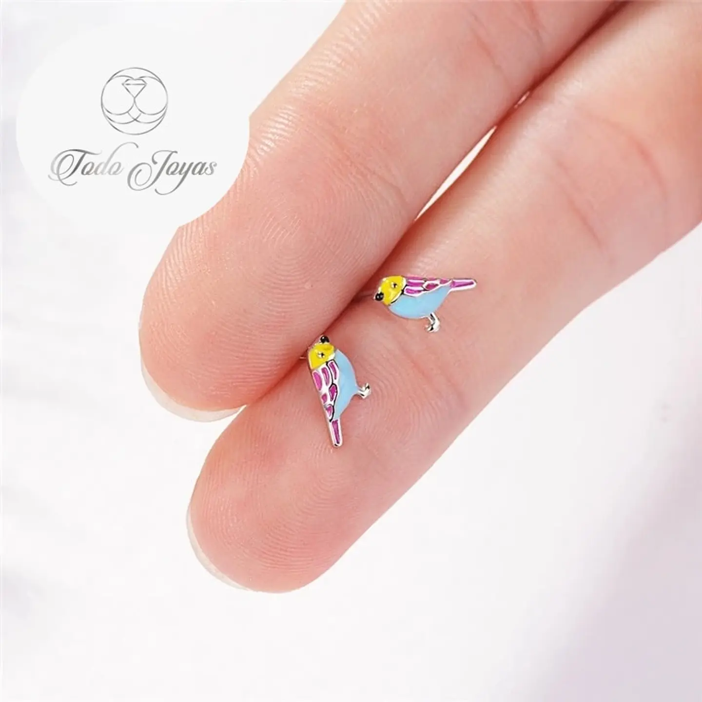 Aros de Pajaro Multicolor Plateado 6